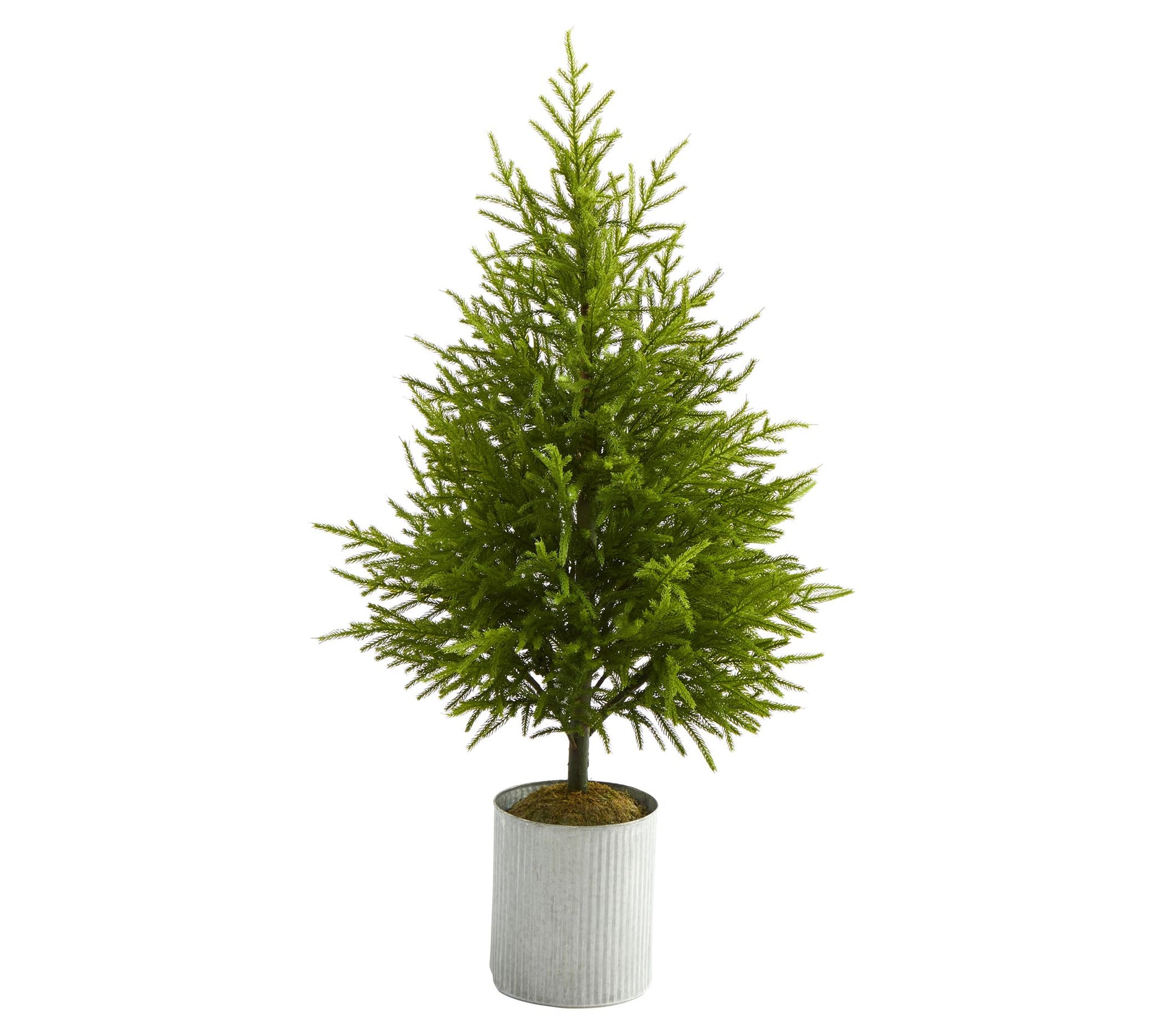 Nearly Natural 49" Norfolk Island Pine Naturalook Tree