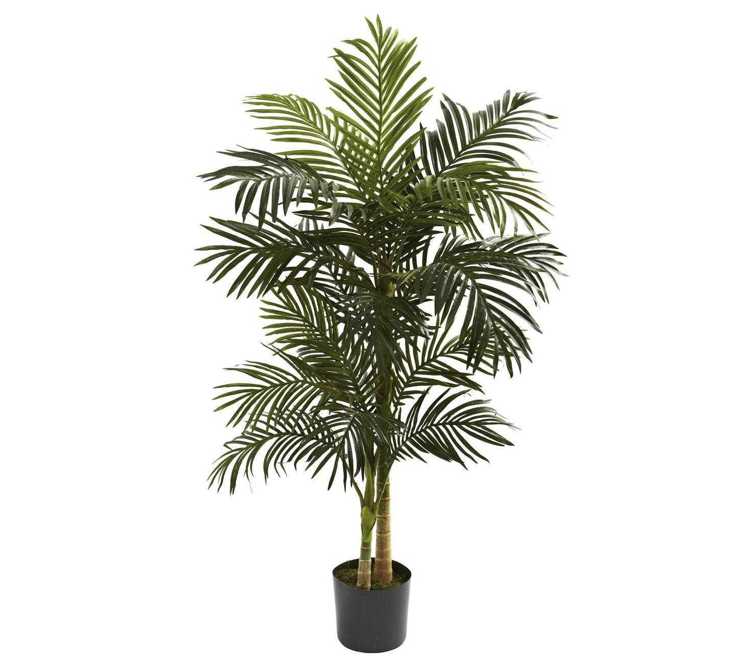 5' Golden Cane Palm Silk Tree by Nearly Natural