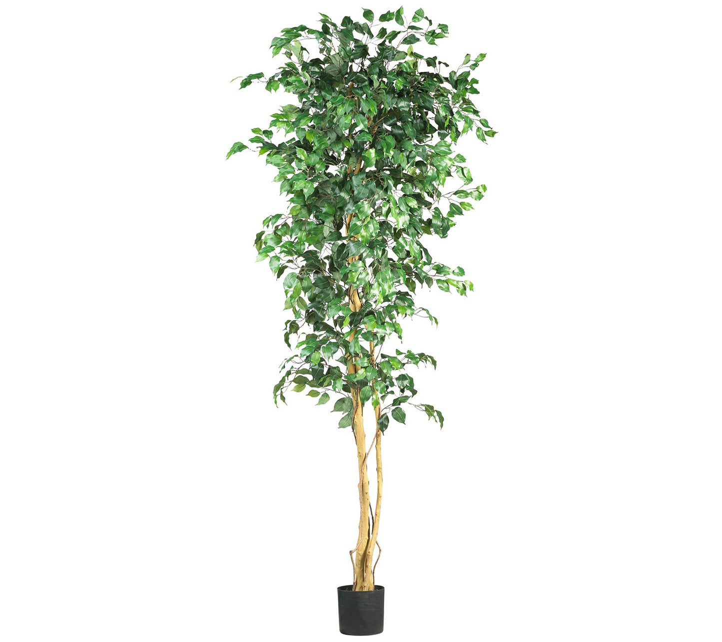 7' Ficus Silk Tree by Nearly Natural