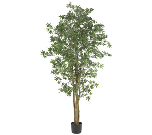 6' Japanese Maple Silk Tree by Nearly Natural