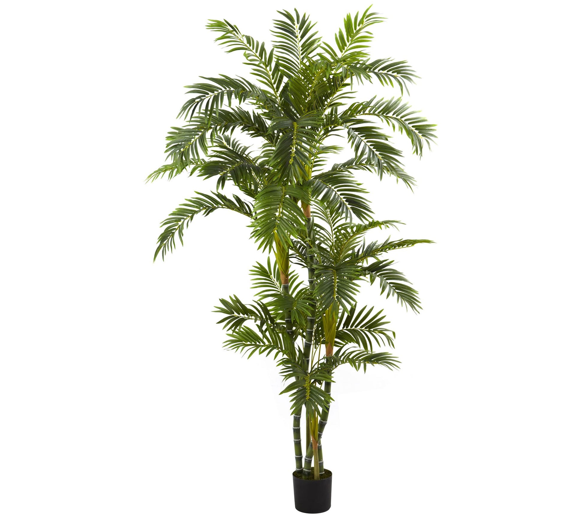 6' Curvy Parlor Palm Silk Tree by Nearly Natural
