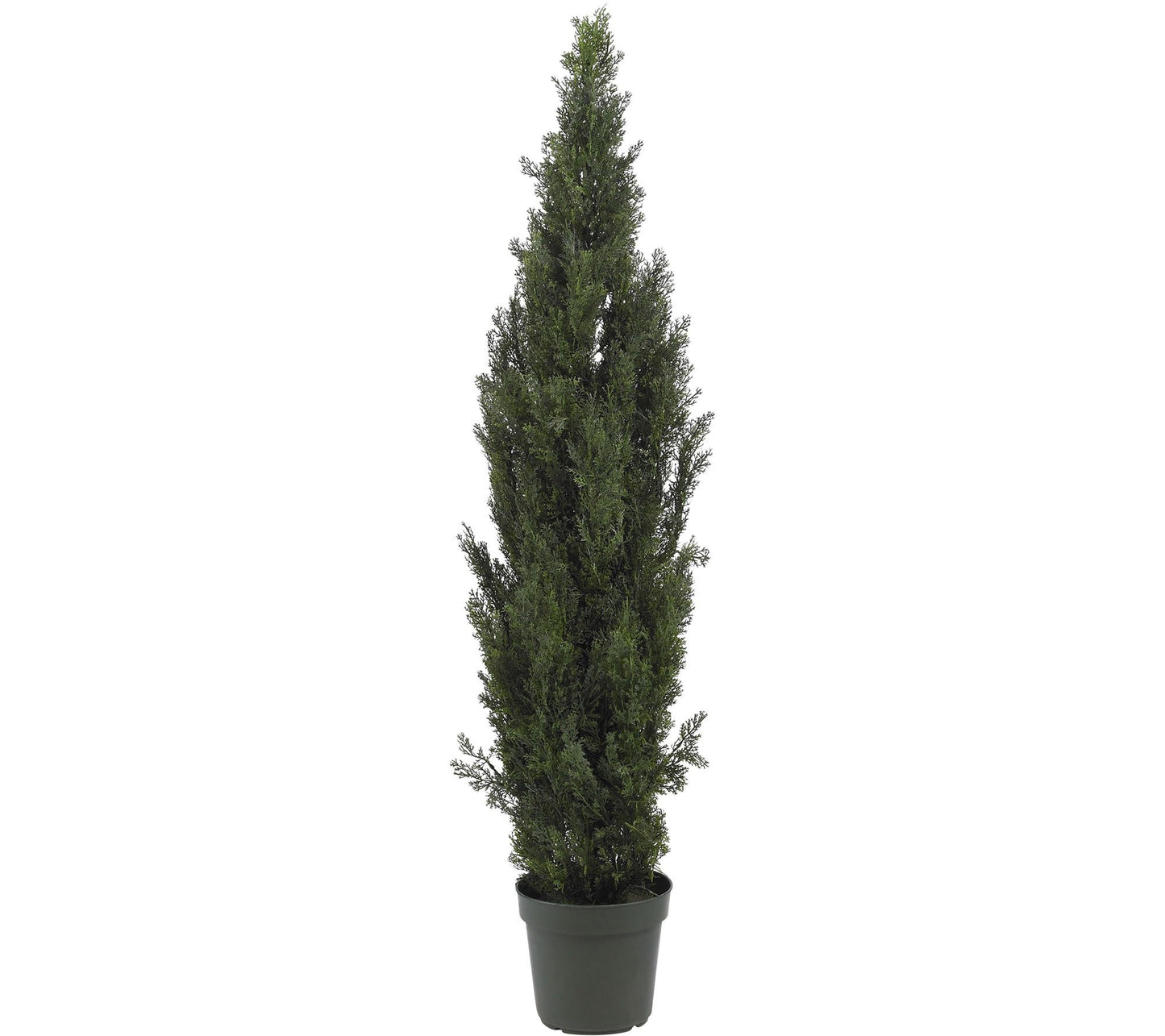 6' Mini Cedar Pine Tree by Nearly Natural