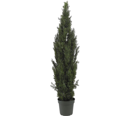 6' Mini Cedar Pine Tree by Nearly Natural