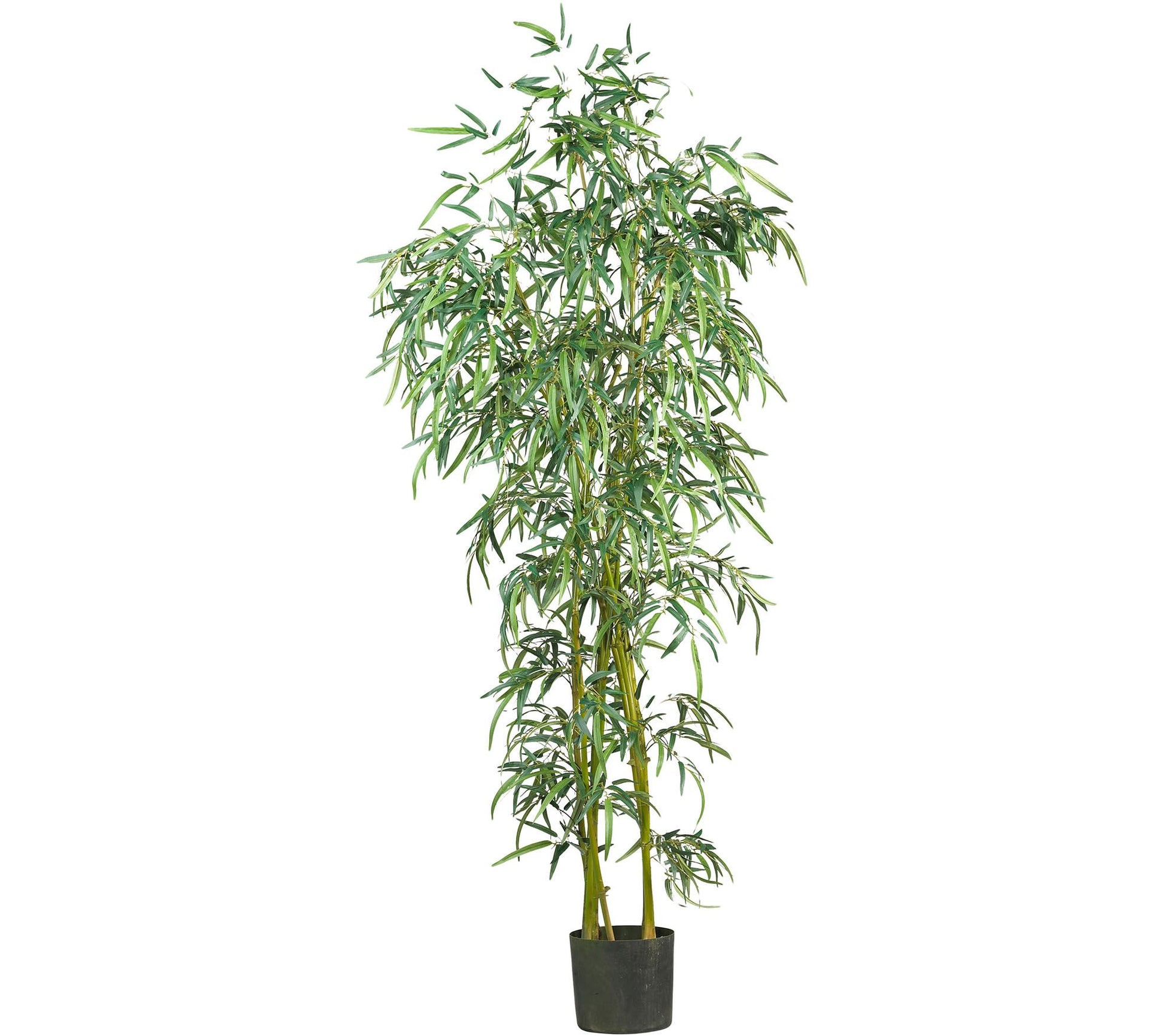 6' Fancy Style Slim Bamboo Silk Tree by Nearly Natural
