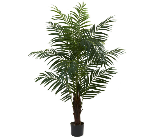 5' Areca Palm Tree by Nearly Natural