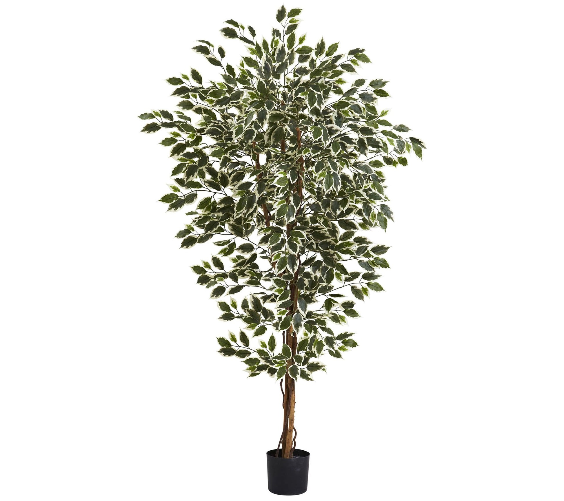 6' Hawaiian Ficus Tree by Nearly Natural