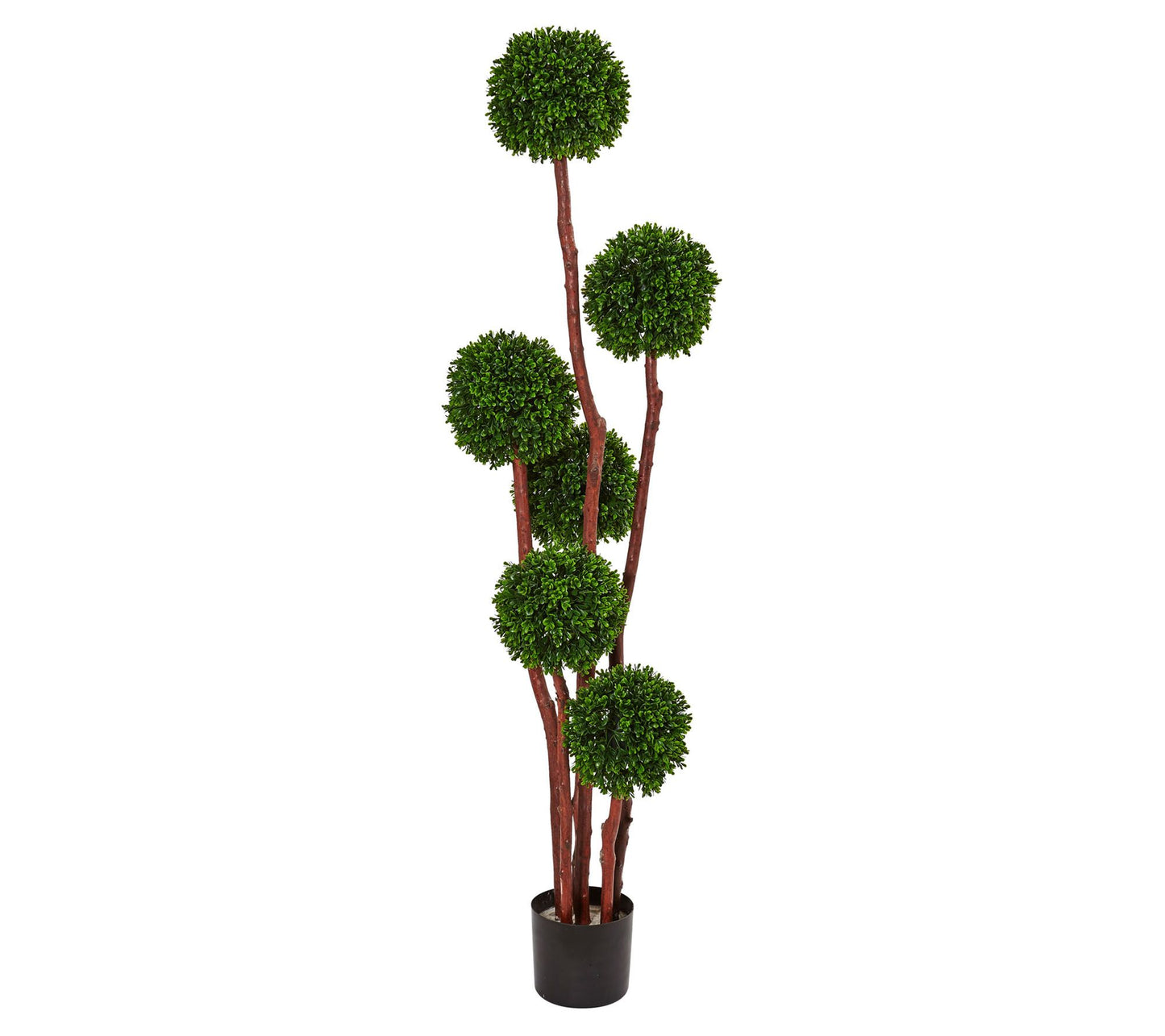 New Boxwood Tree by Nearly Natural