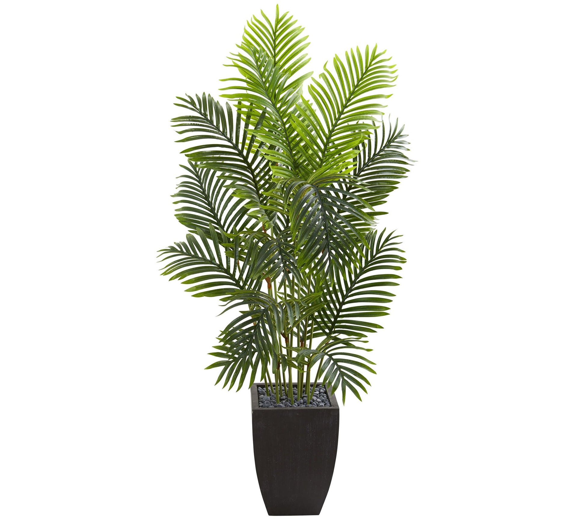 5.5' Paradise Palm Tree in Square Planter by Nearly Natural
