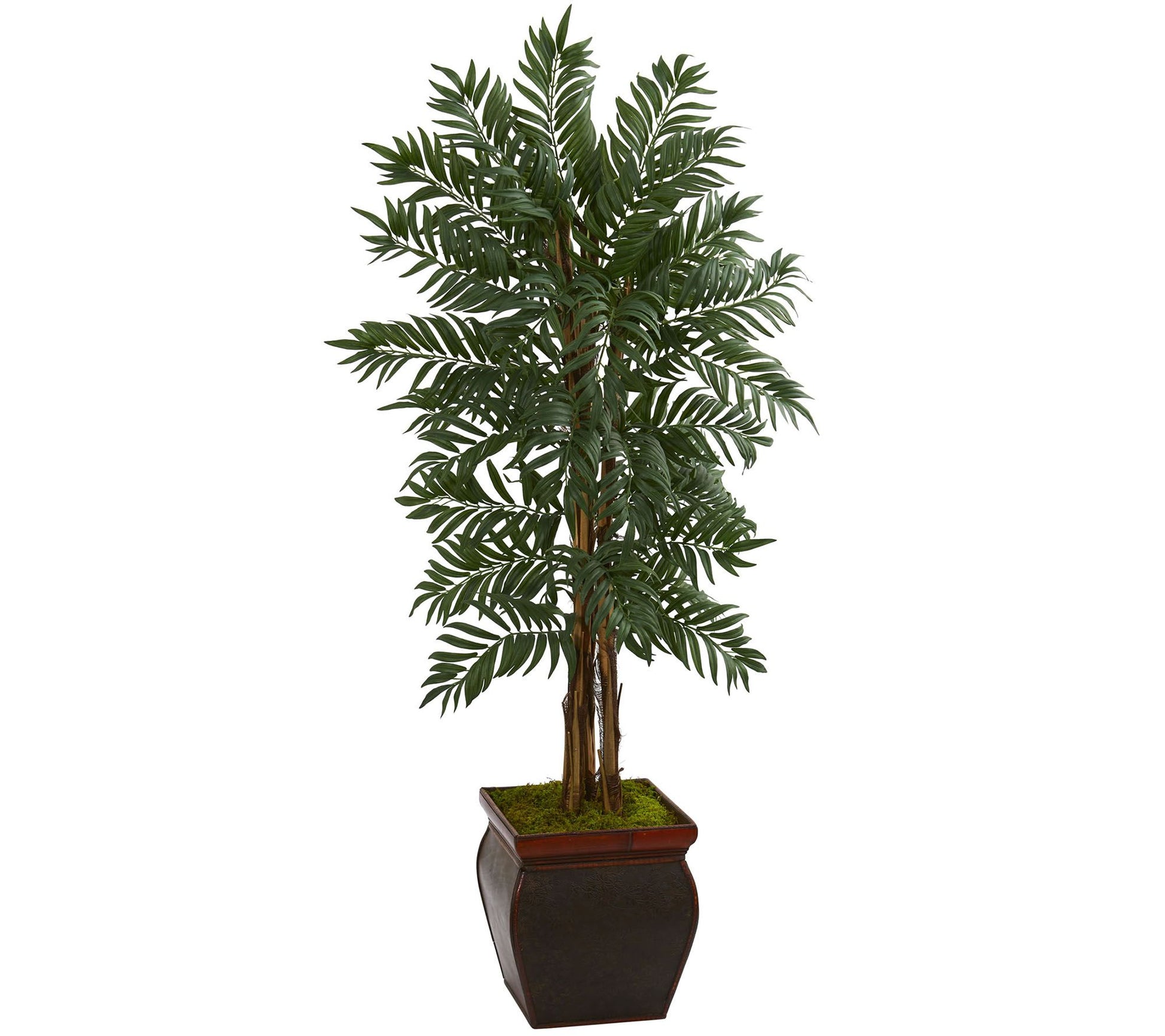 5' Parlor Palm Tree in Decorative Planter by Nearly Natural