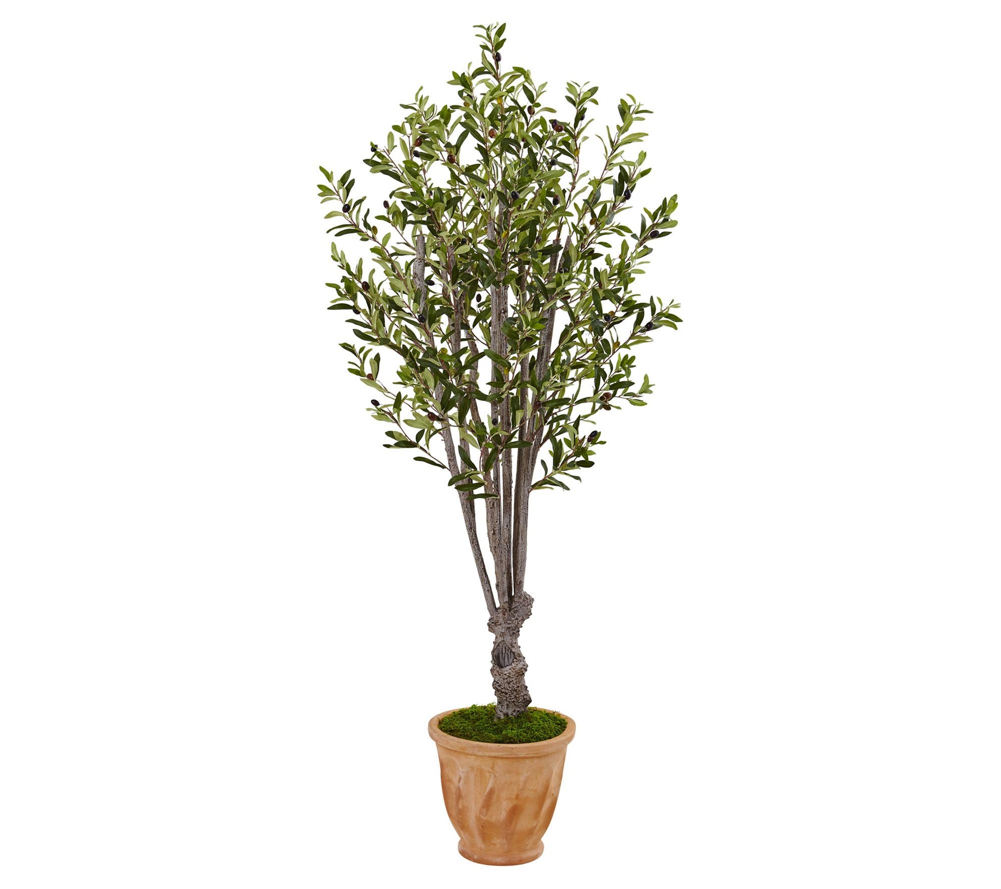 5' Olive Tree in Terra-Cotta Planter by Nearly Natural