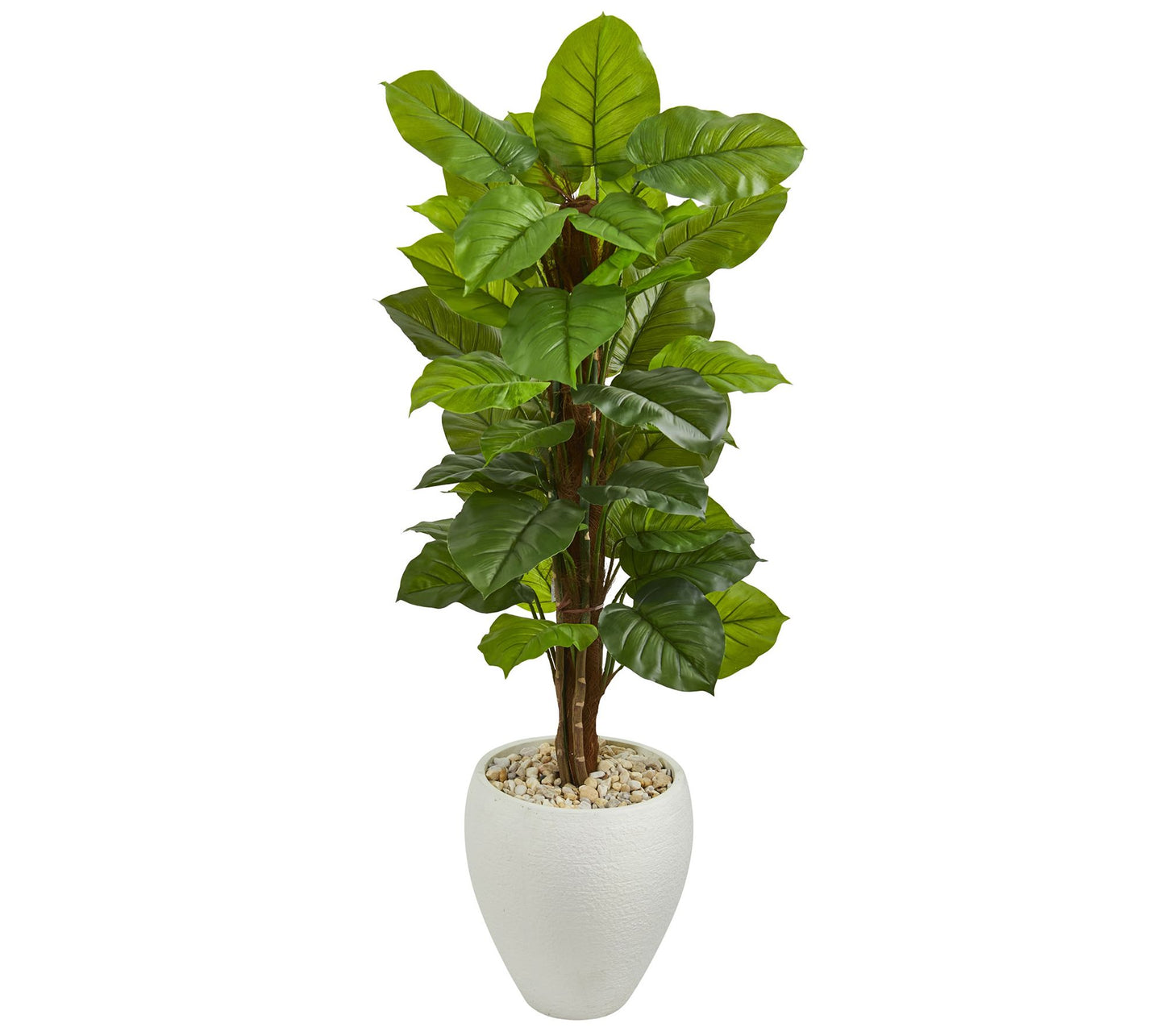 5' Large Leaf Philodendron in Planter by Nearly Natural