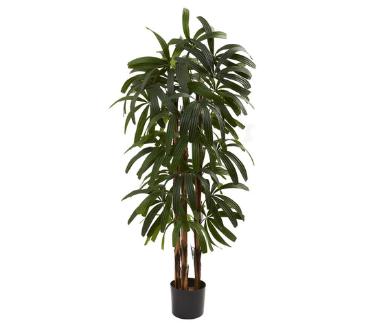 4' Raphis Palm Tree by Nearly Natural