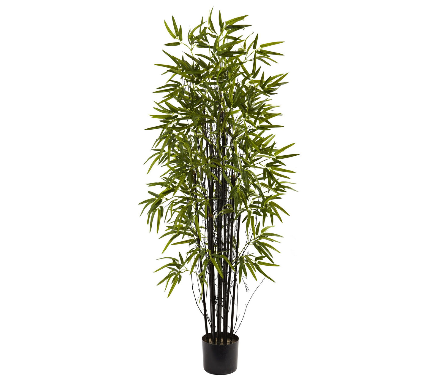 5' Black Bamboo Tree by Nearly Natural