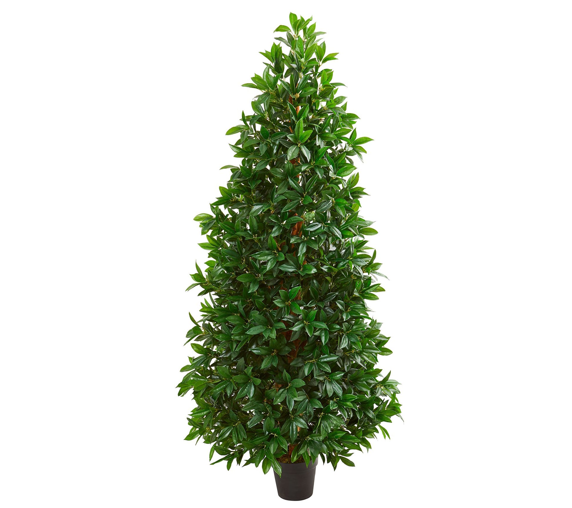 5' Bay Leaf Cone Artificial Topiary by Nearly Natural