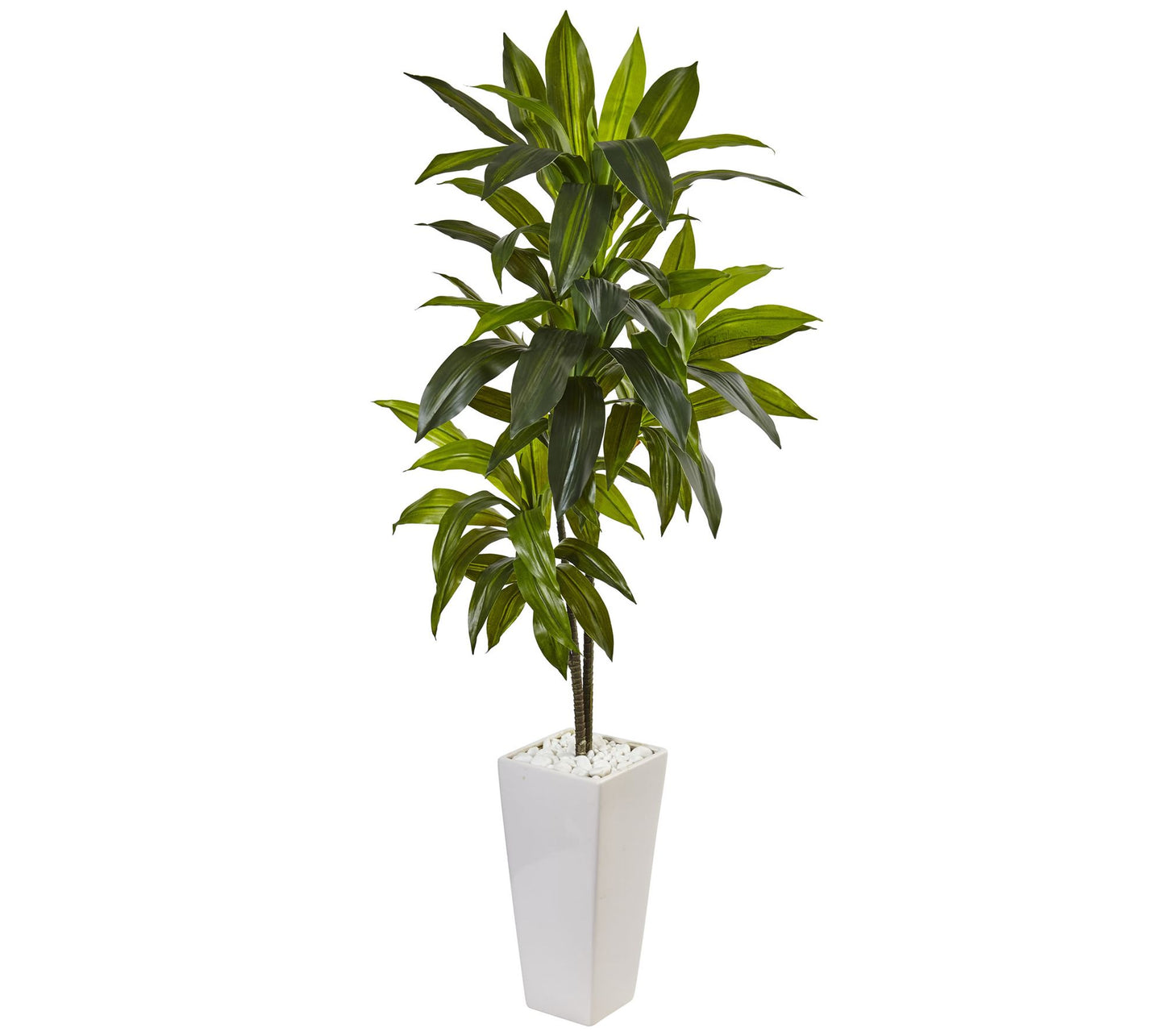 3' Dracaena Plant in Tower Planter  by Nearly Natural