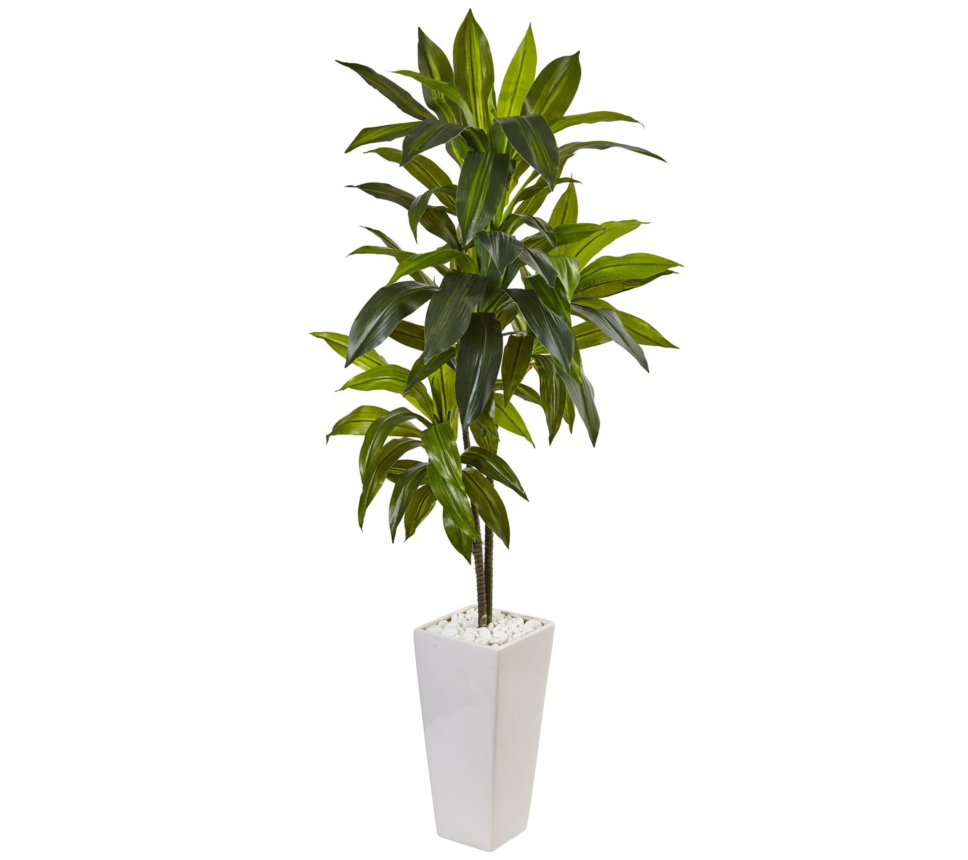 3' Dracaena Plant in Tower Planter  by Nearly Natural