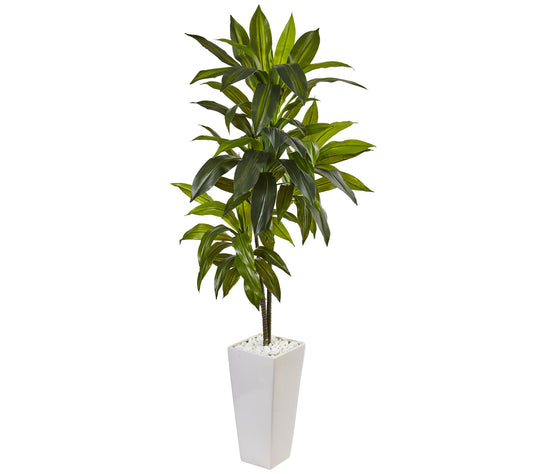 3' Dracaena Plant in Tower Planter  by Nearly Natural