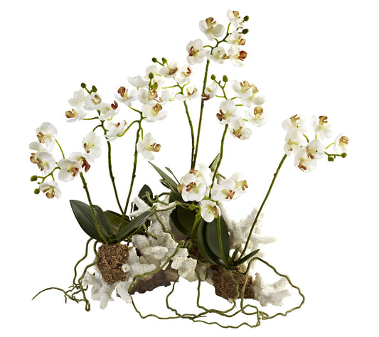 Mini Phalaenopsis Set on Coral by Nearly Natural