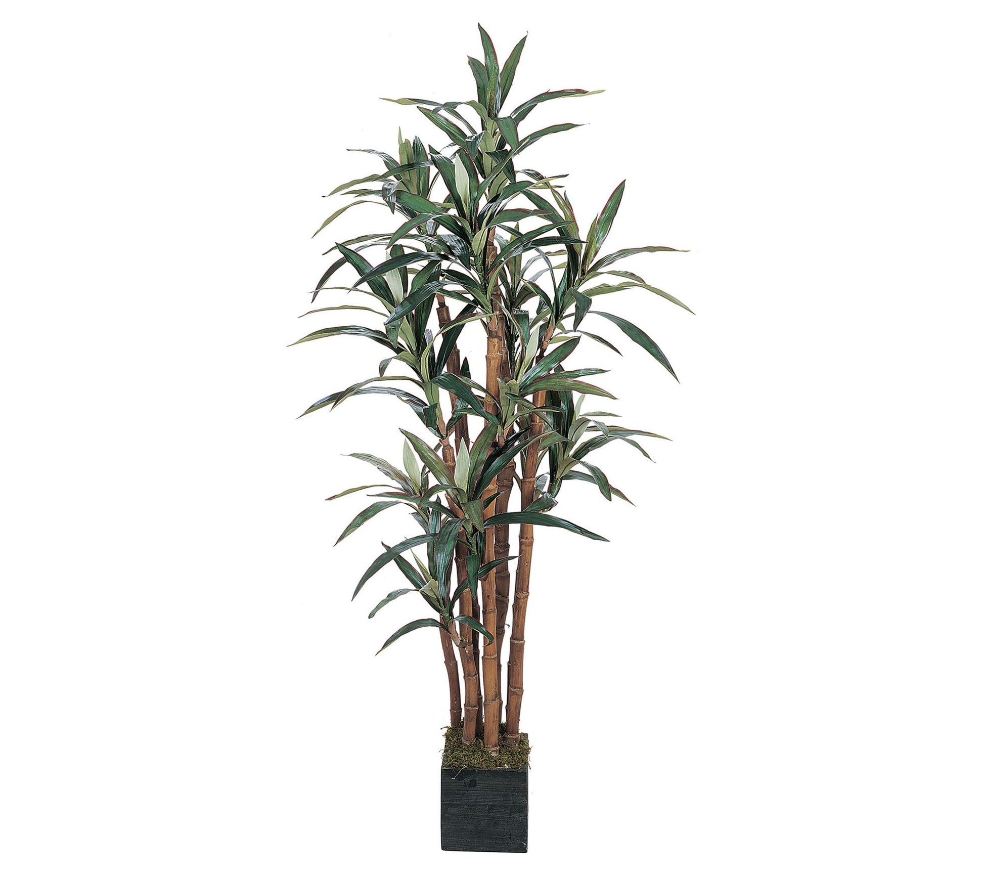 5' Yucca Silk Tree by Nearly Natural
