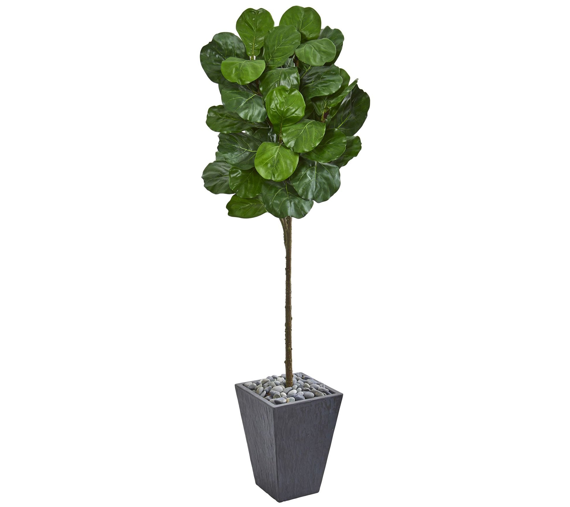 6' Fiddle Leaf Potted Tree by Nearly Natural