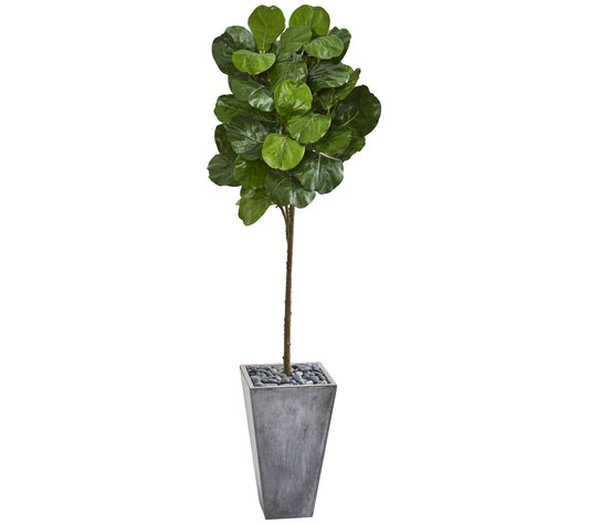 75" Fiddle Leaf Tree in Cement Planter by Nearly Natural