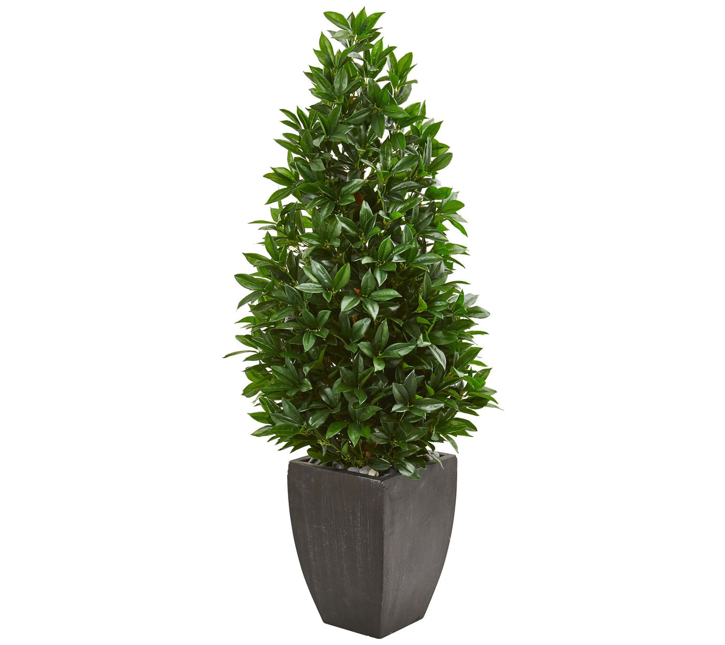56" Bay Leaf Cone Topiary in Black Planter by Nearly Natural