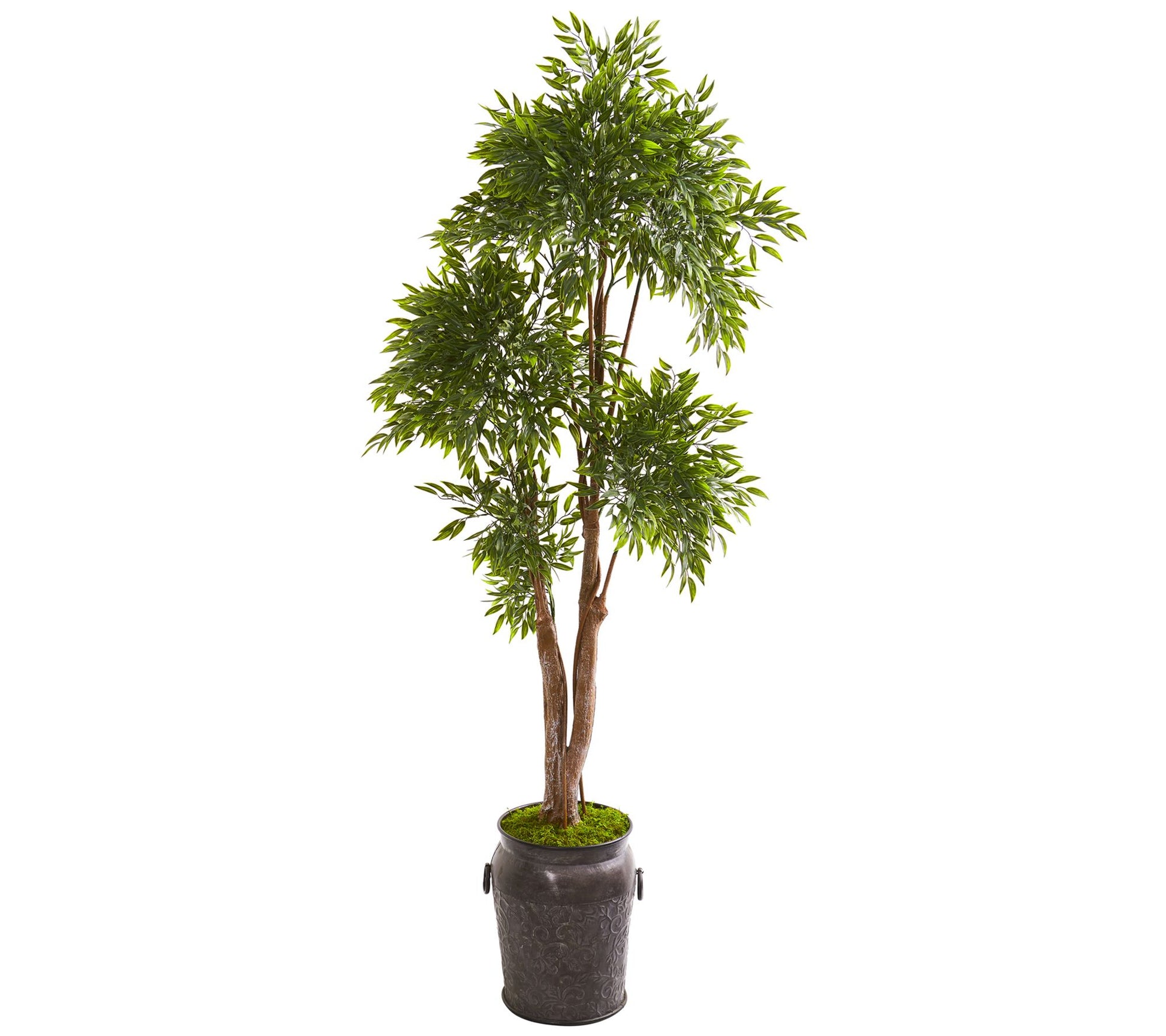 82" Ruscus Tree in Planter by Nearly Natural