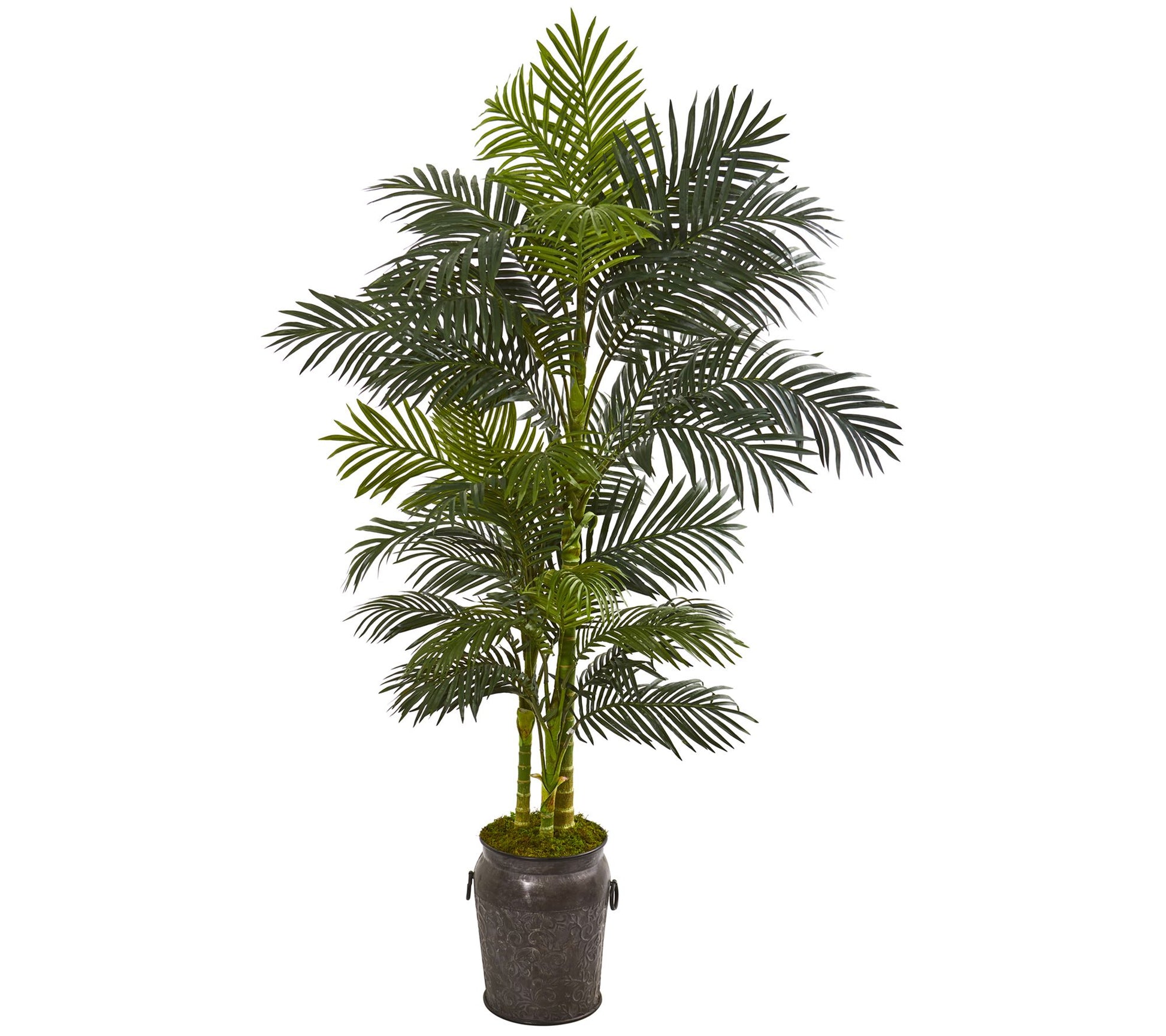 7' Golden Cane Palm in Decorative Planter by Nearly Natural