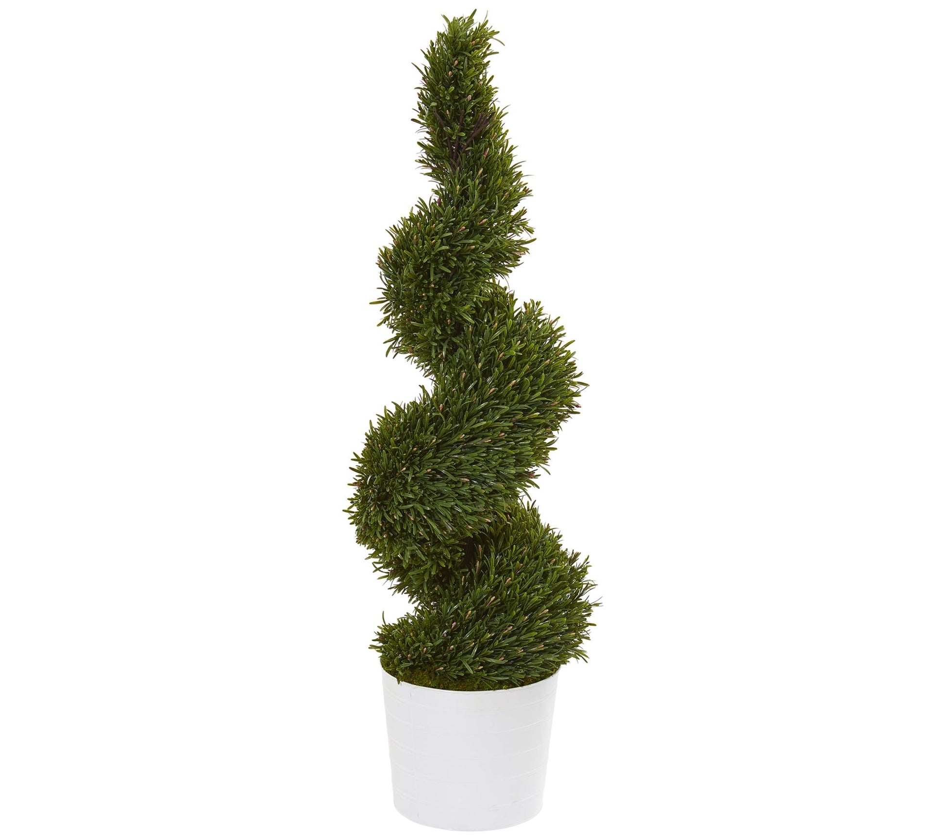 50" Rosemary Spiral Topiary in Planter by Nearly Natural