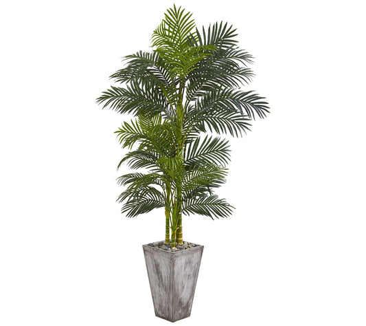 7' Golden Cane Palm in Cement Planter by NearlyNatural
