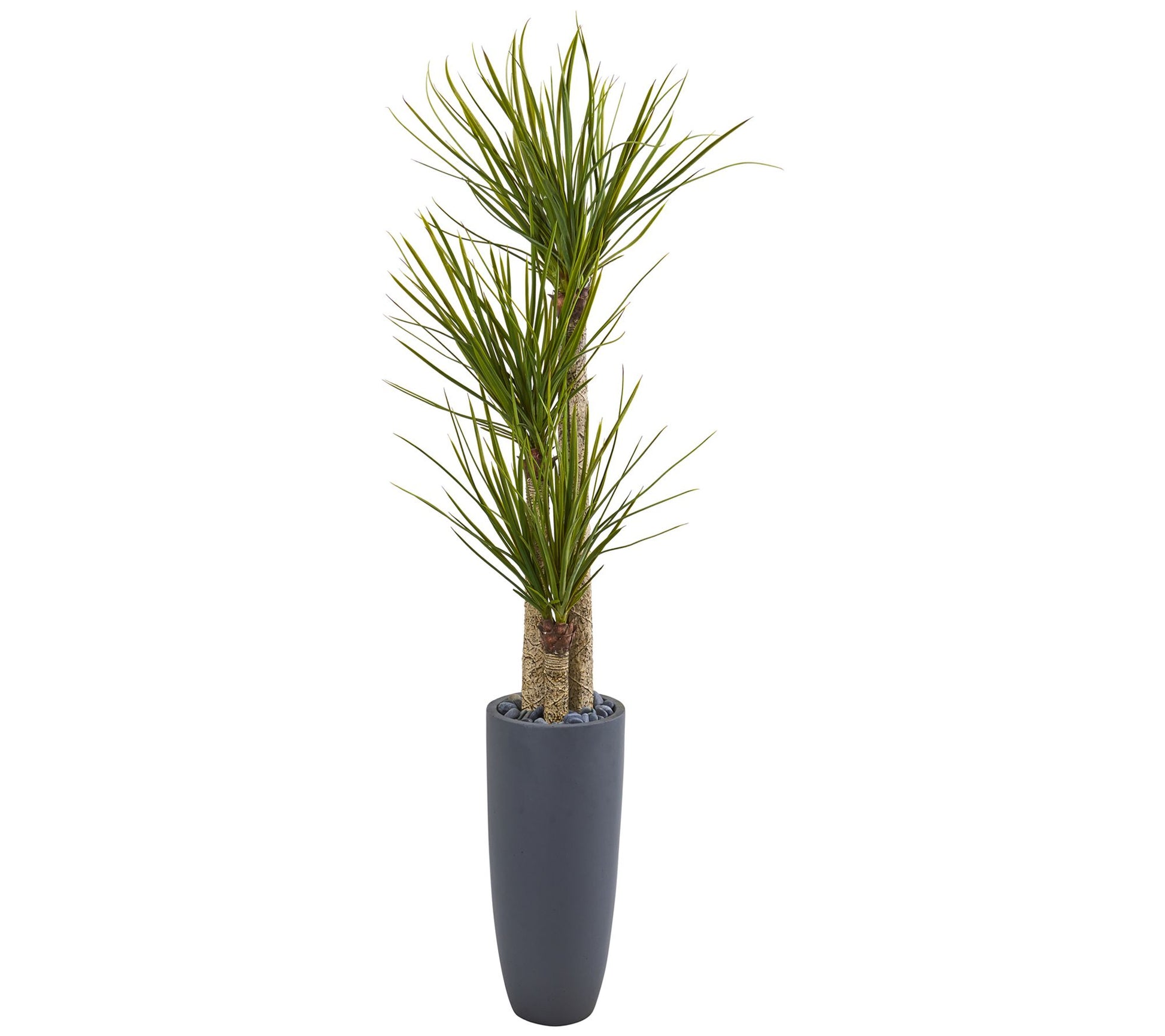 6' Yucca Tree in Bullet Planter by Nearly Natural