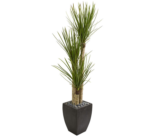 63" Yucca Tree in Black Planter by Nearly Natural