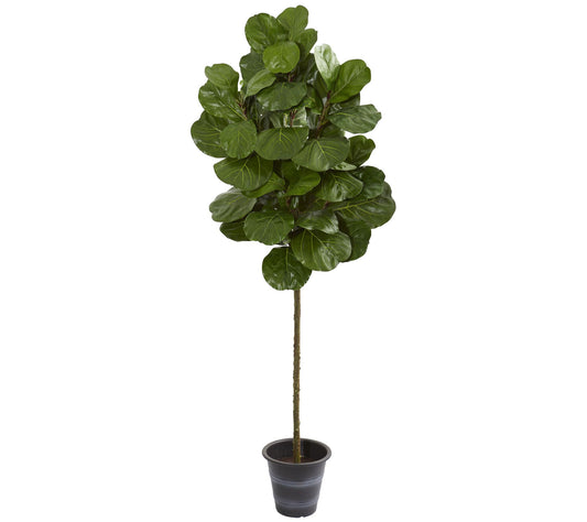 6.5' Fiddle Leaf Tree With Planter by Nearly Natural
