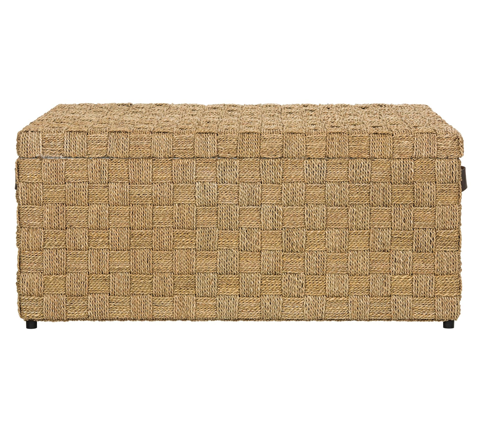 Safavieh Ashban Trunk