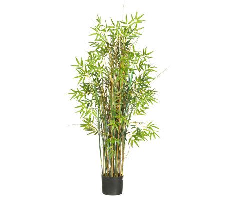 5' Grass Plant Bamboo by Nearly Natural
