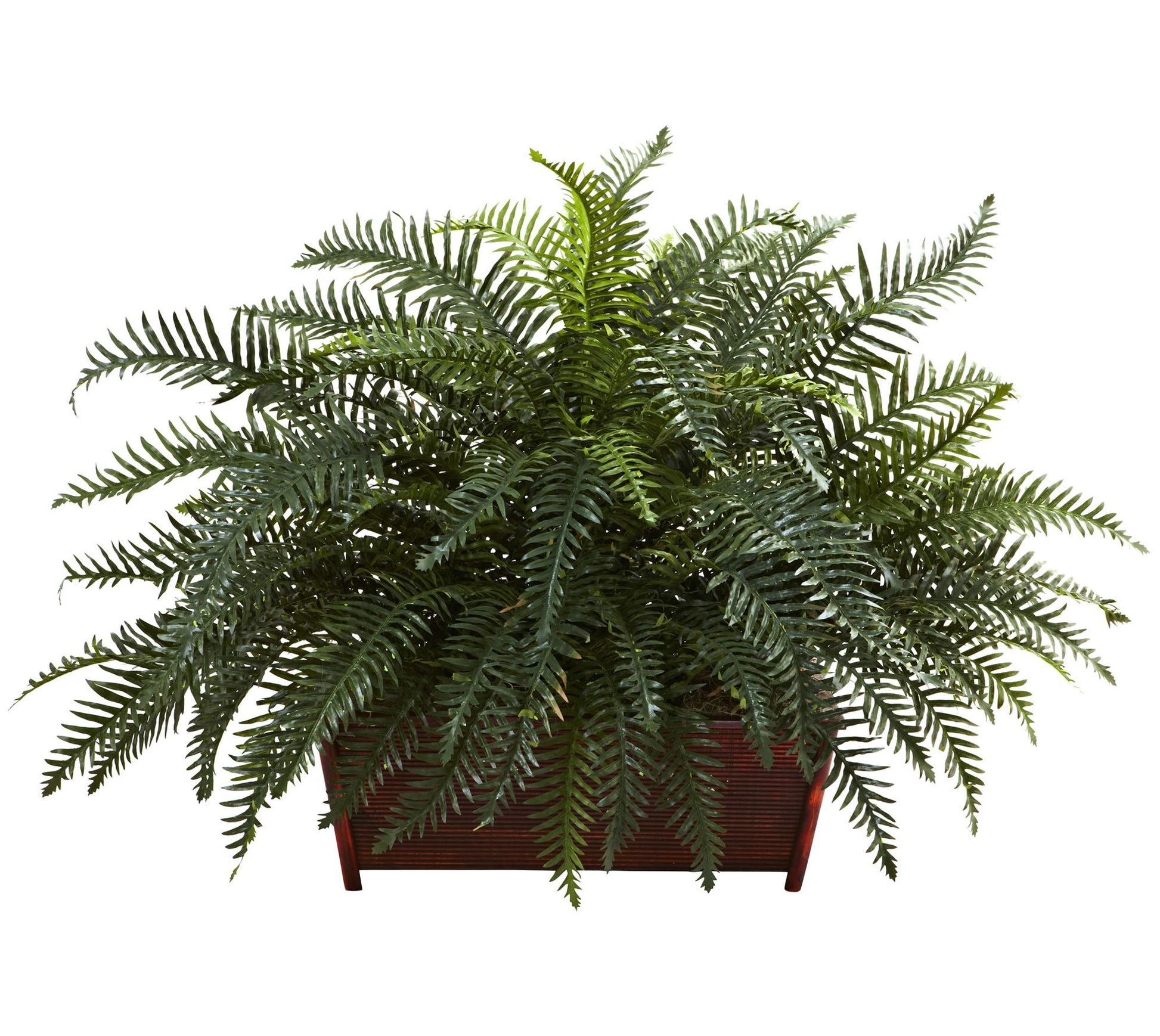 River Fern w/Wood Planter by Nearly Natural