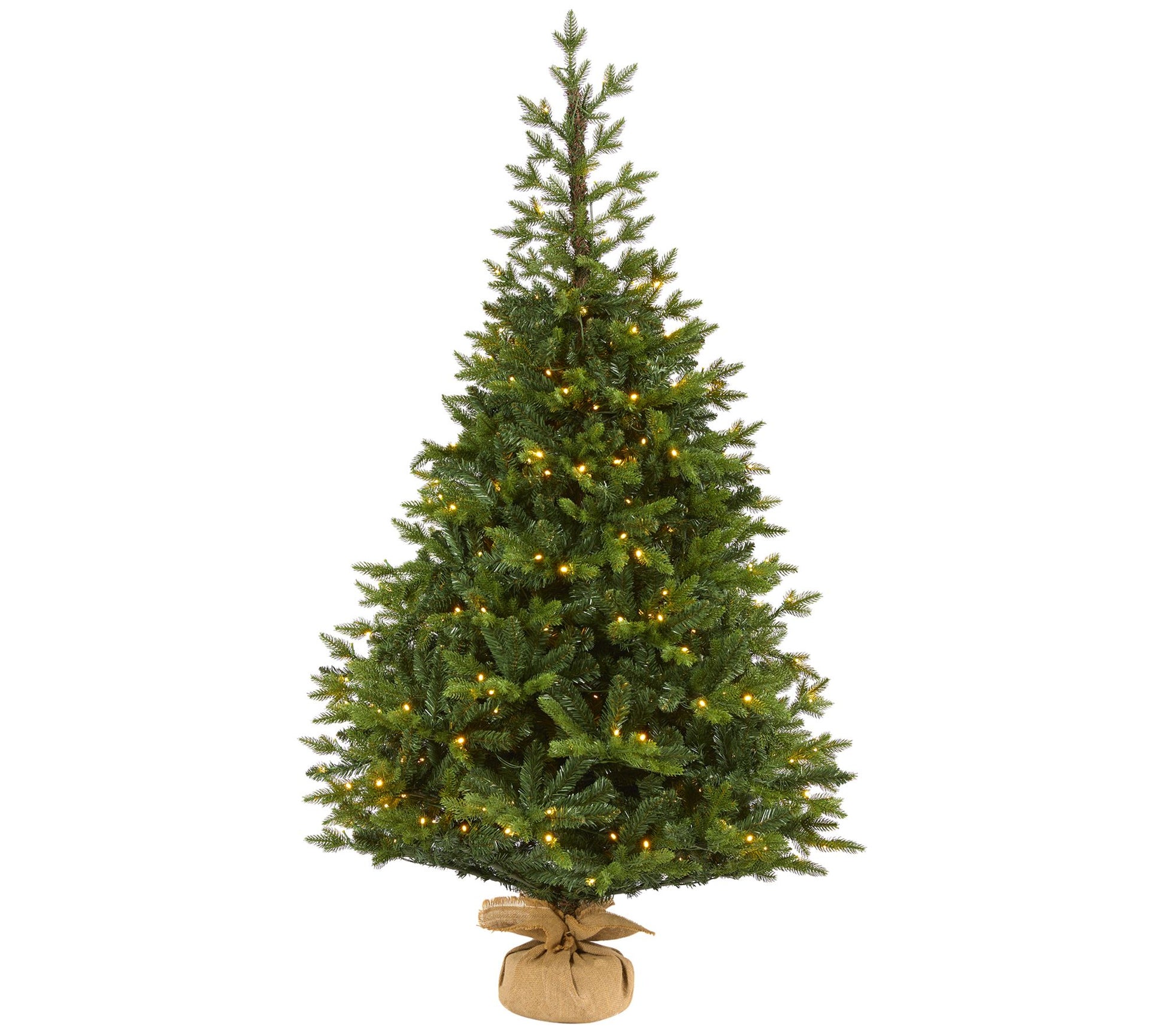 6' Lit Fraser "Natural Look" Christmas Tree byNearly Natural