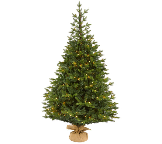 6' Lit Fraser "Natural Look" Christmas Tree byNearly Natural