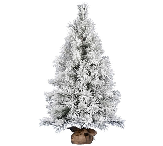 Vickerman 48" Frosted Beckett Pine Tree