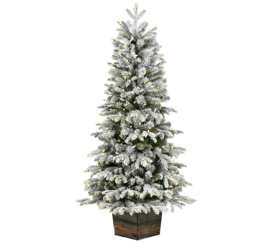 Vickerman 5'x32" Frost Wendell Potted DuraLt 200WW