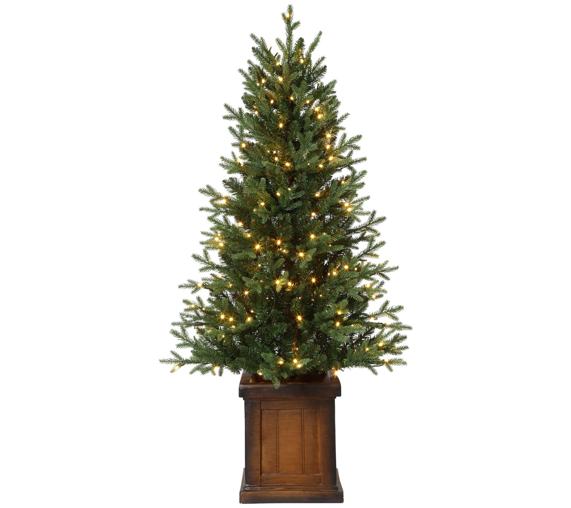 Haute Decor 4.5' Pre-Lit New Haven Fraser Fir Tree