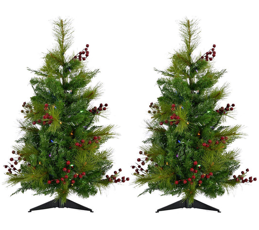 Fraser Hill Farm Set of Two 4-Ft Newberry Pine Trees