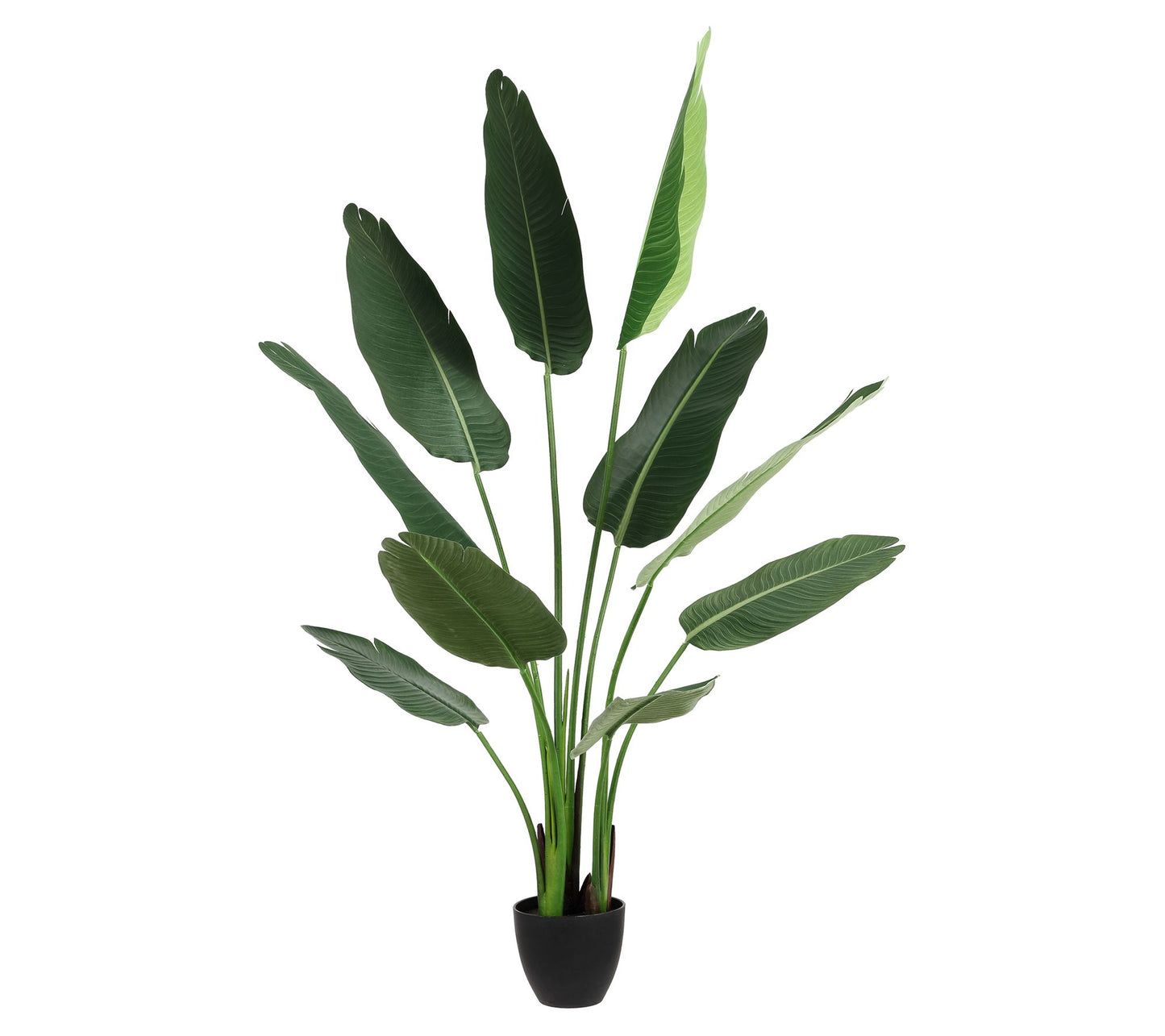 Safavieh Faux Banana 63" Potted Leaves
