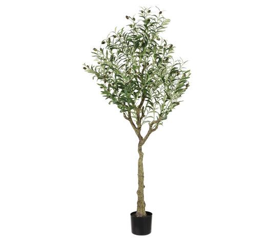 Safavieh Faux Olive 60" Potted Tree