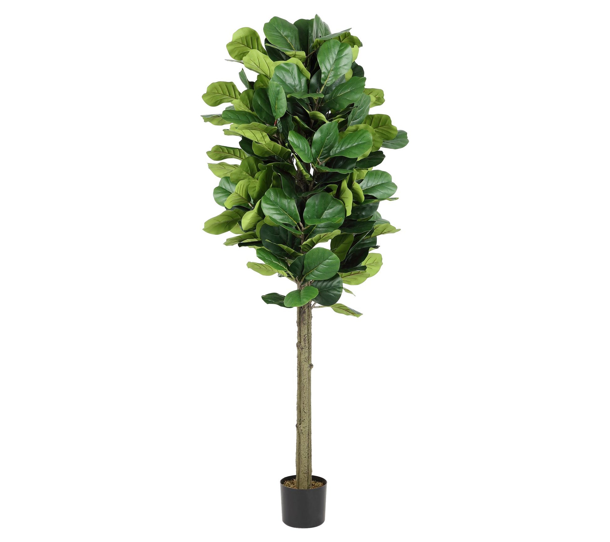 Safavieh Faux Fiddle Leaf Fig 72" Potted Tree