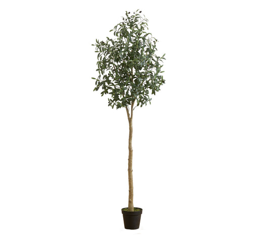 Nearly Natural 7-ft Artificial Olive Tree