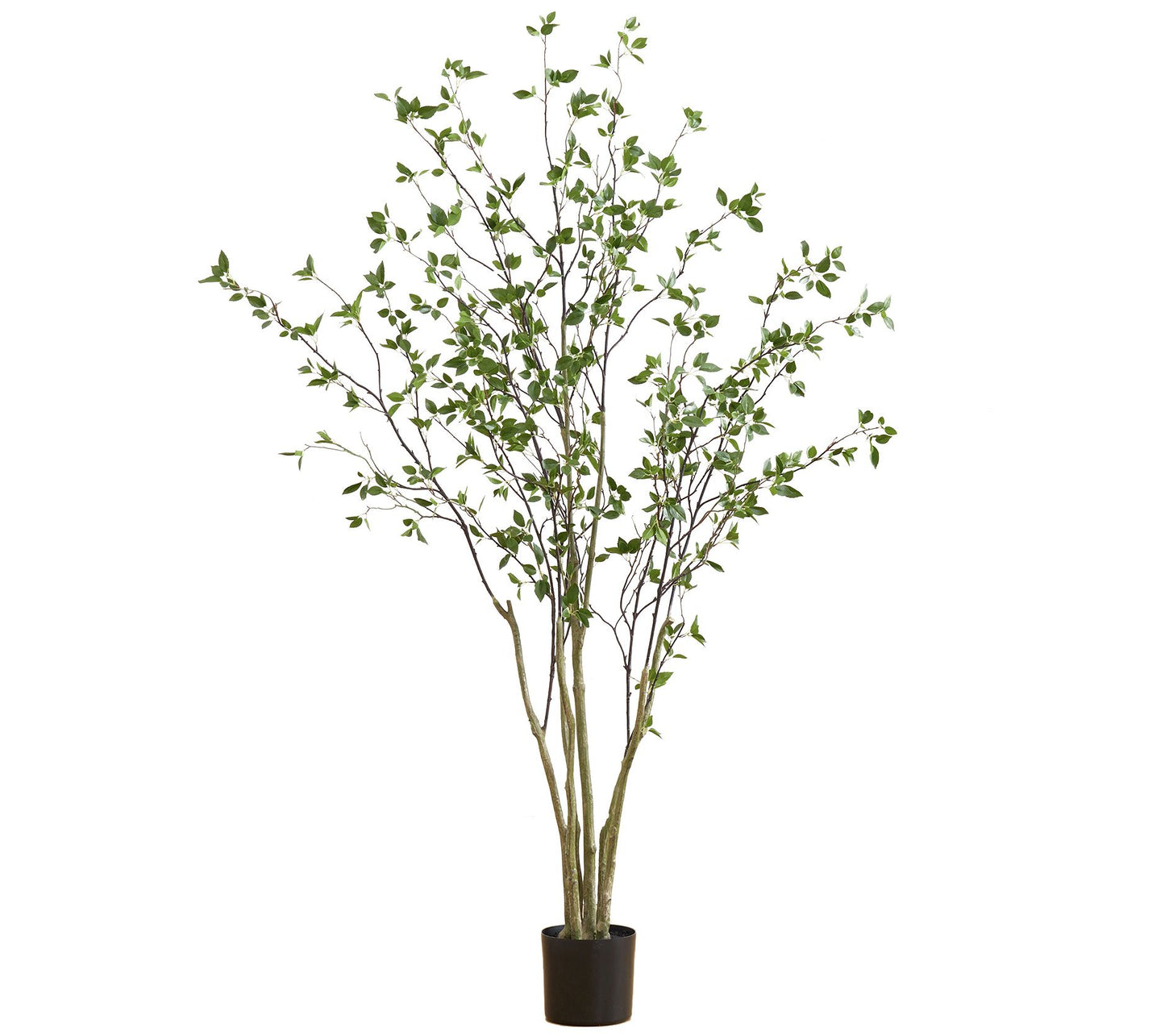 Nearly Natural 7' Minimalist Citrus Tree