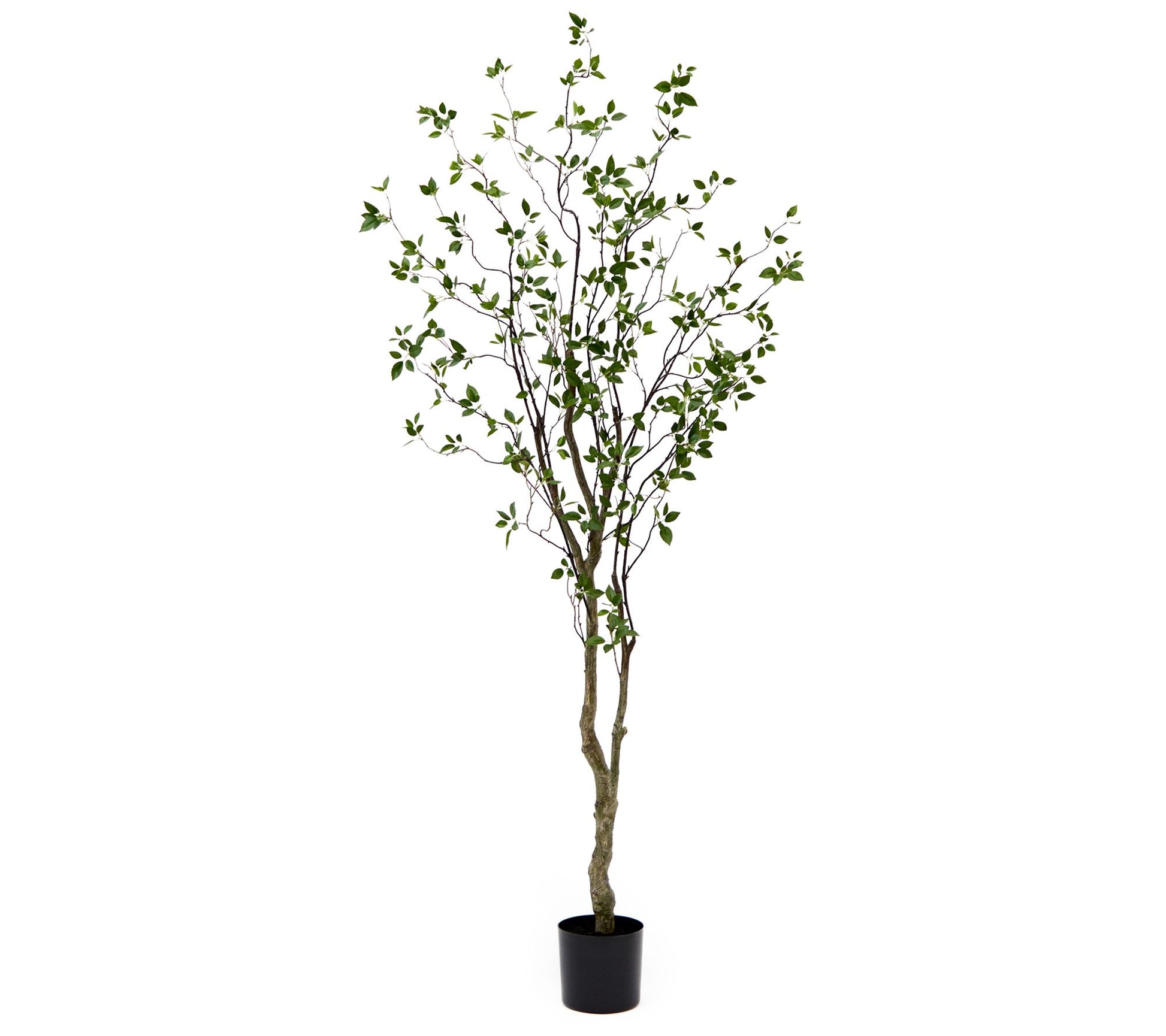 Nearly Natural 8' Minimalist Citrus Artificialree