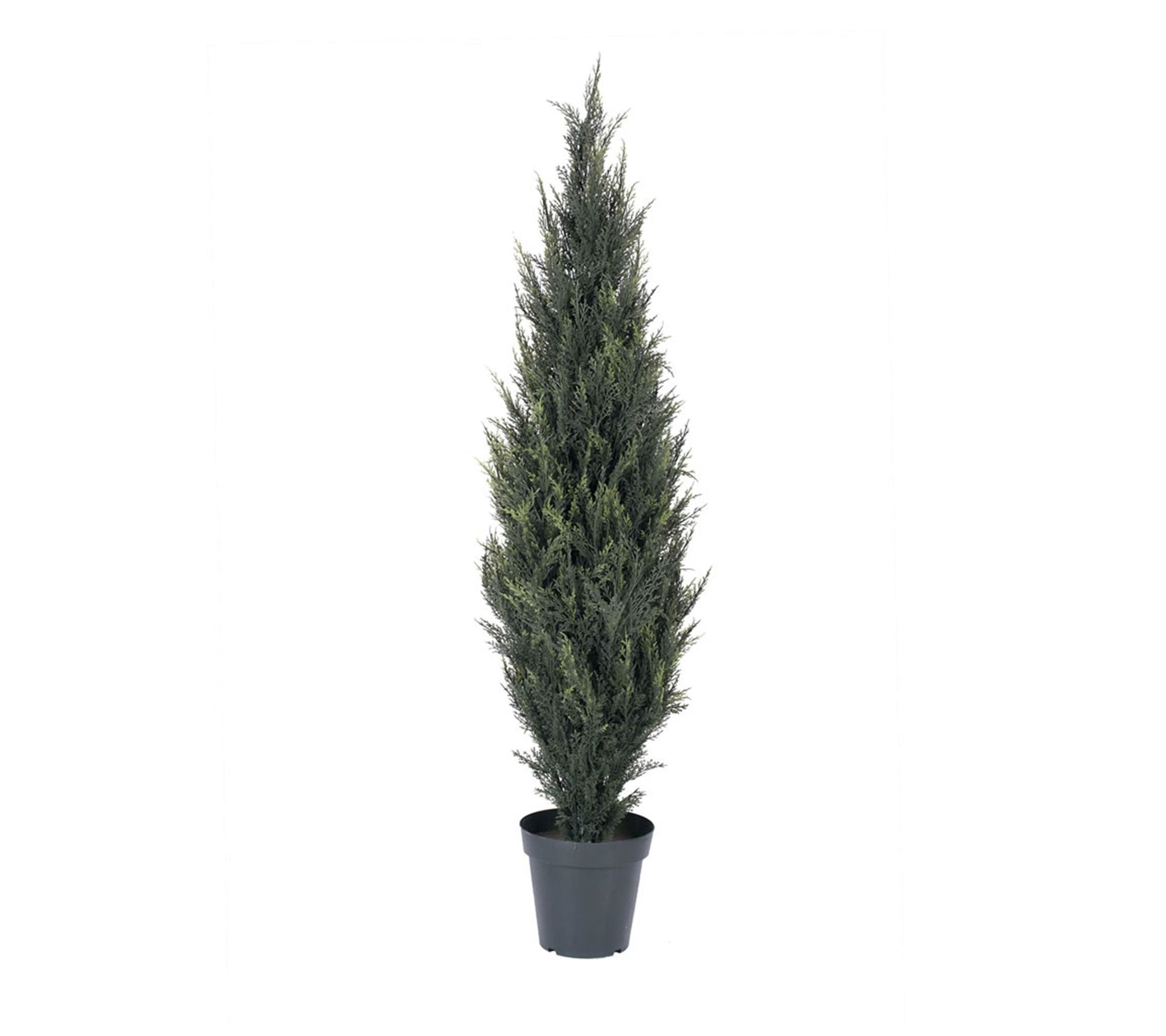 Vickerman 5' Pond Cypress Tree in Pot