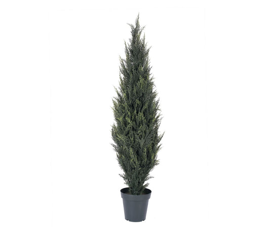 Vickerman 5' Pond Cypress Tree in Pot